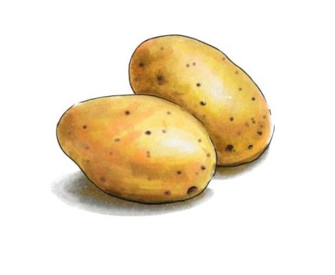 potatoes price
