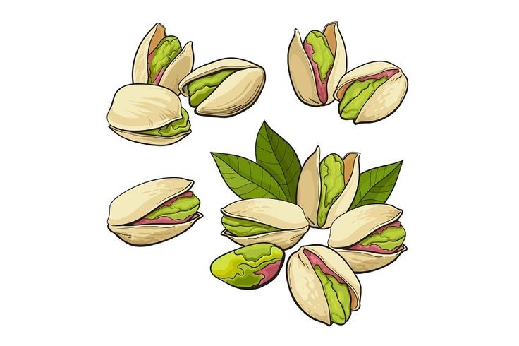 pistachio