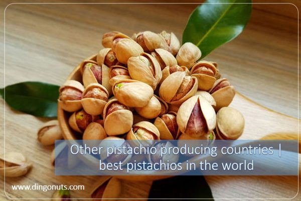 Other pistachio producing countries | best pistachios in the world