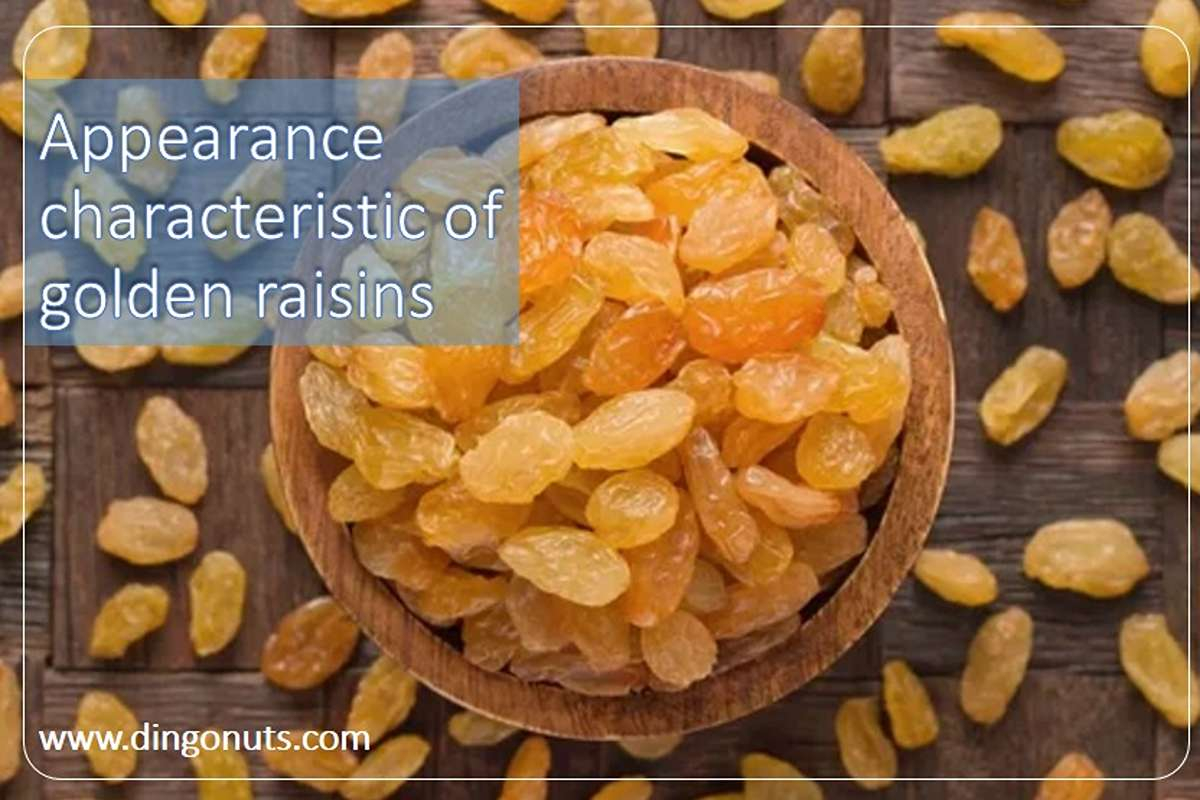 All about Golden Raisin: properties, benefits and uses - dingonuts