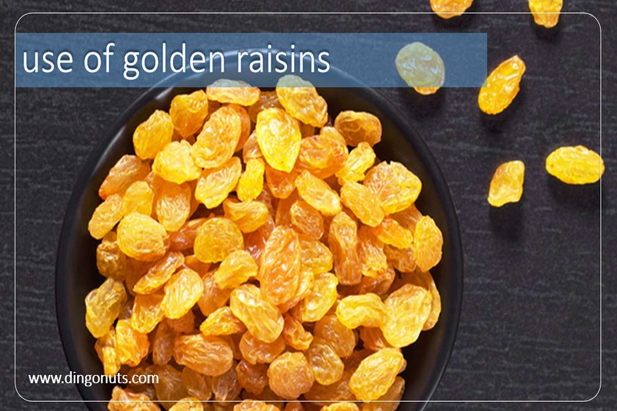 All about Golden Raisin: properties, benefits and uses - dingonuts