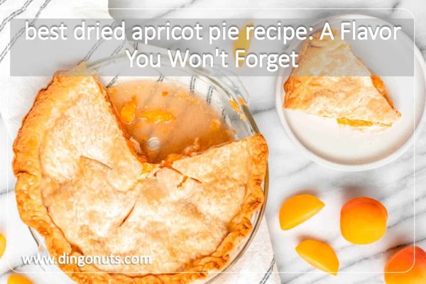 best dried apricot pie recipe A Flavor You Won't Forget