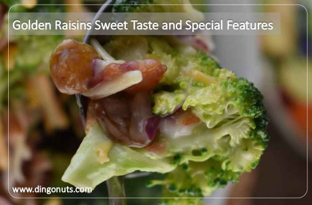 Golden Raisins: Sweet Taste and Special Features