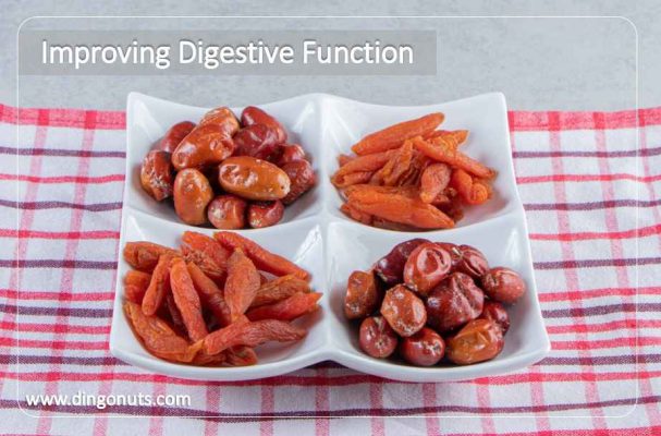 Improving Digestive Function