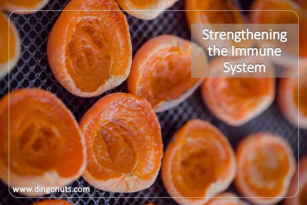 Strengthening the Immune System