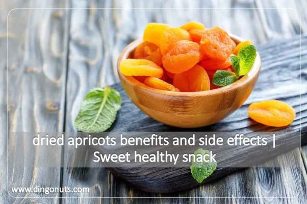 dried apricots benefits and side effects Sweet healthy snack