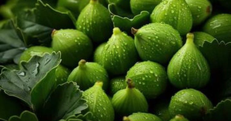 Recipes for Unripe Figs