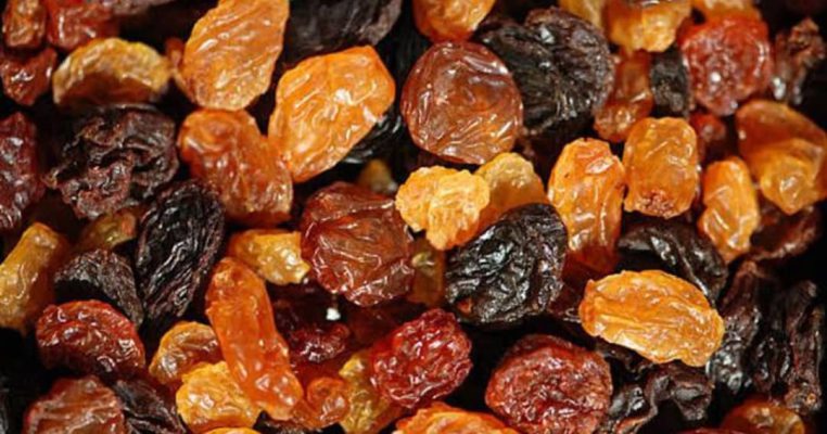 Kismis protein and its role in vegan nutrition