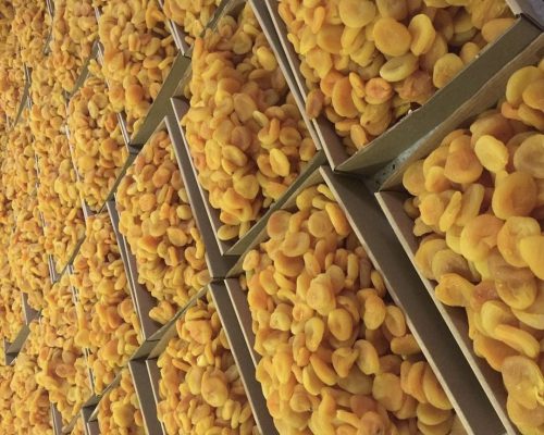 persian dry fruits for diabetics