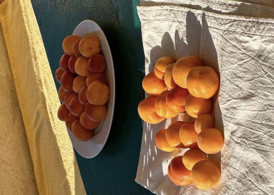Fresh apricots