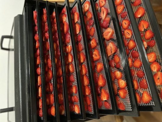 best dry fruits for diabetic patients