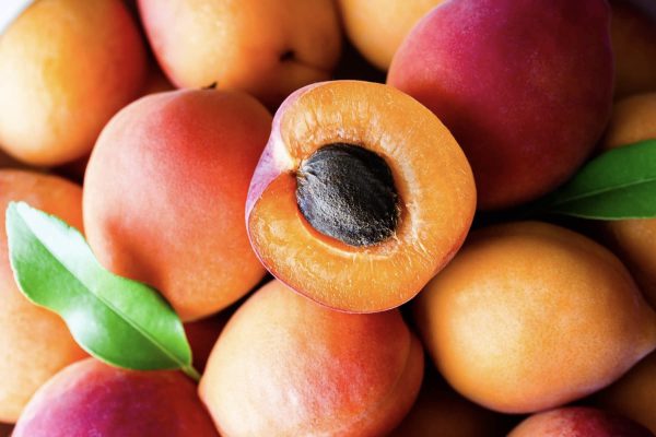Iranian apricots at a reasonable price