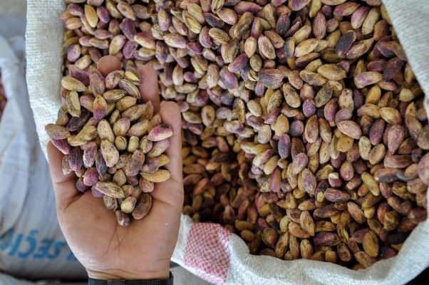 High quality Iranian pistachios