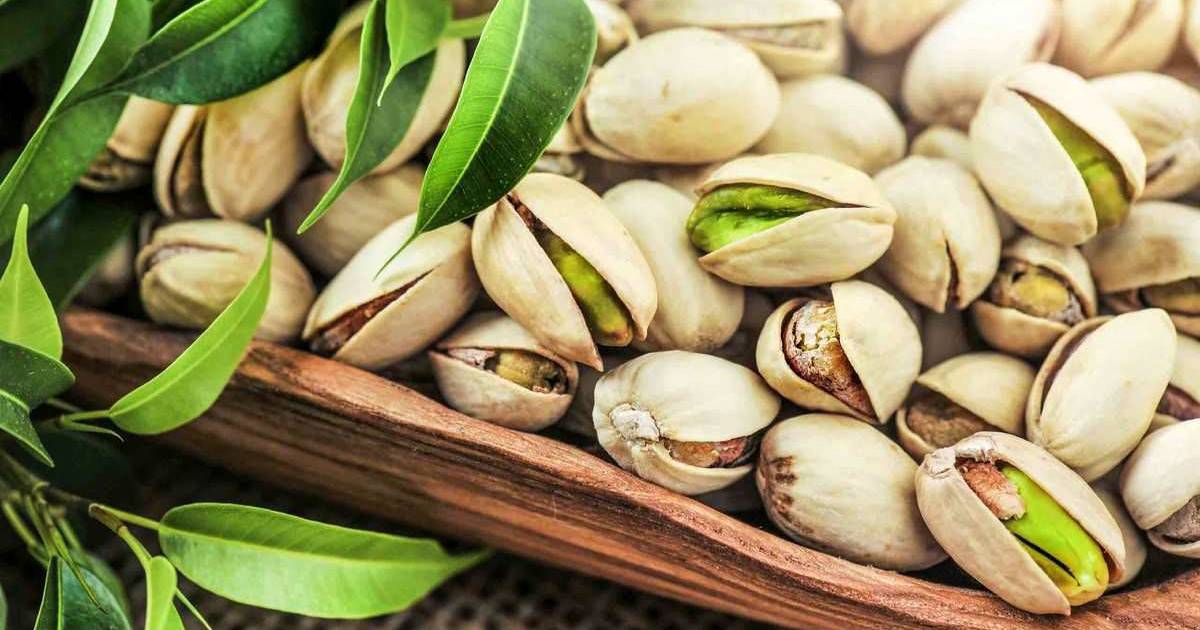 تصدير الفستق