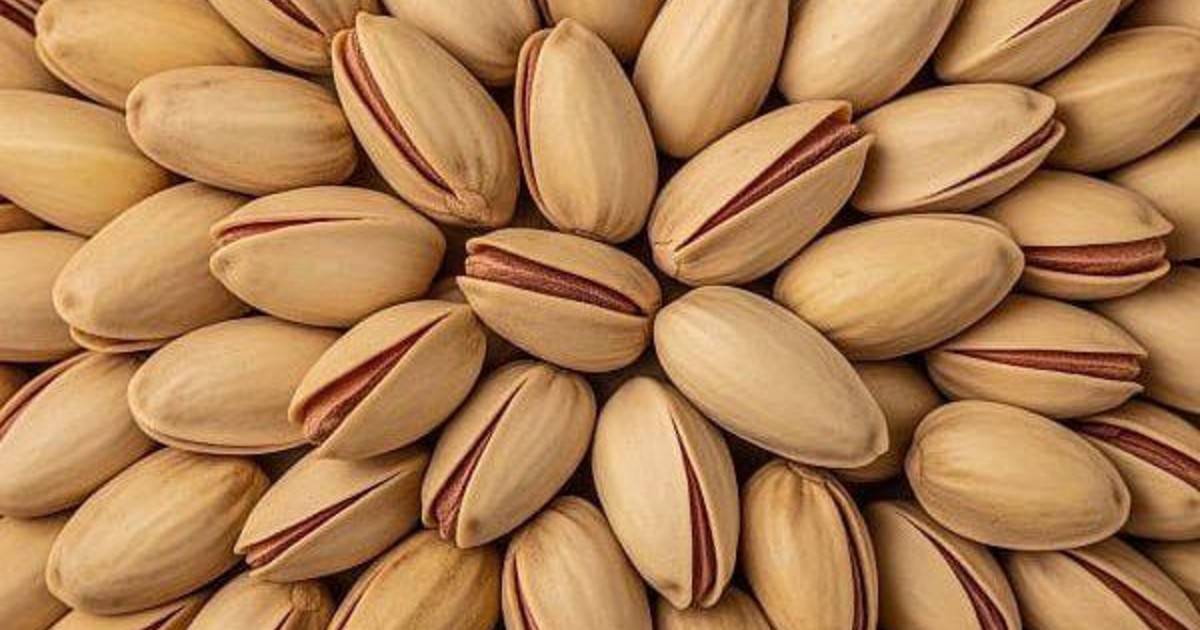 فستق الإيراني